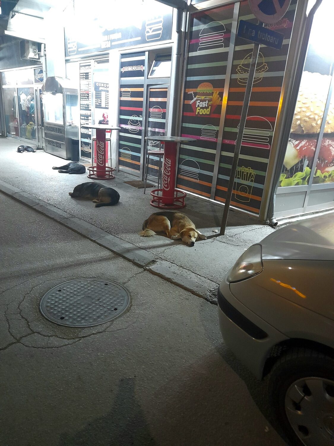 20230923 195619 scaled