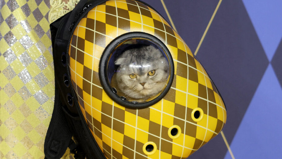 132424309 crba689bceffb613070cb5f68d0426d2ffe70e99cd