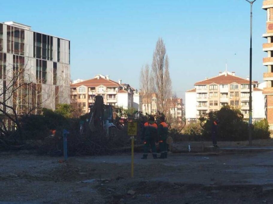 Posečena stabla kod niškog NTP-a, građani strahuju od betona, iz "Zelenila" obećavaju 100 novih 14 NTP 1