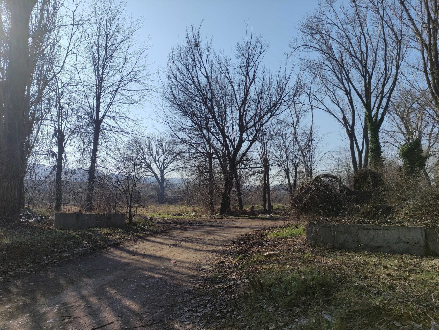 gimnasticki centar, foto ljubica jocic 1