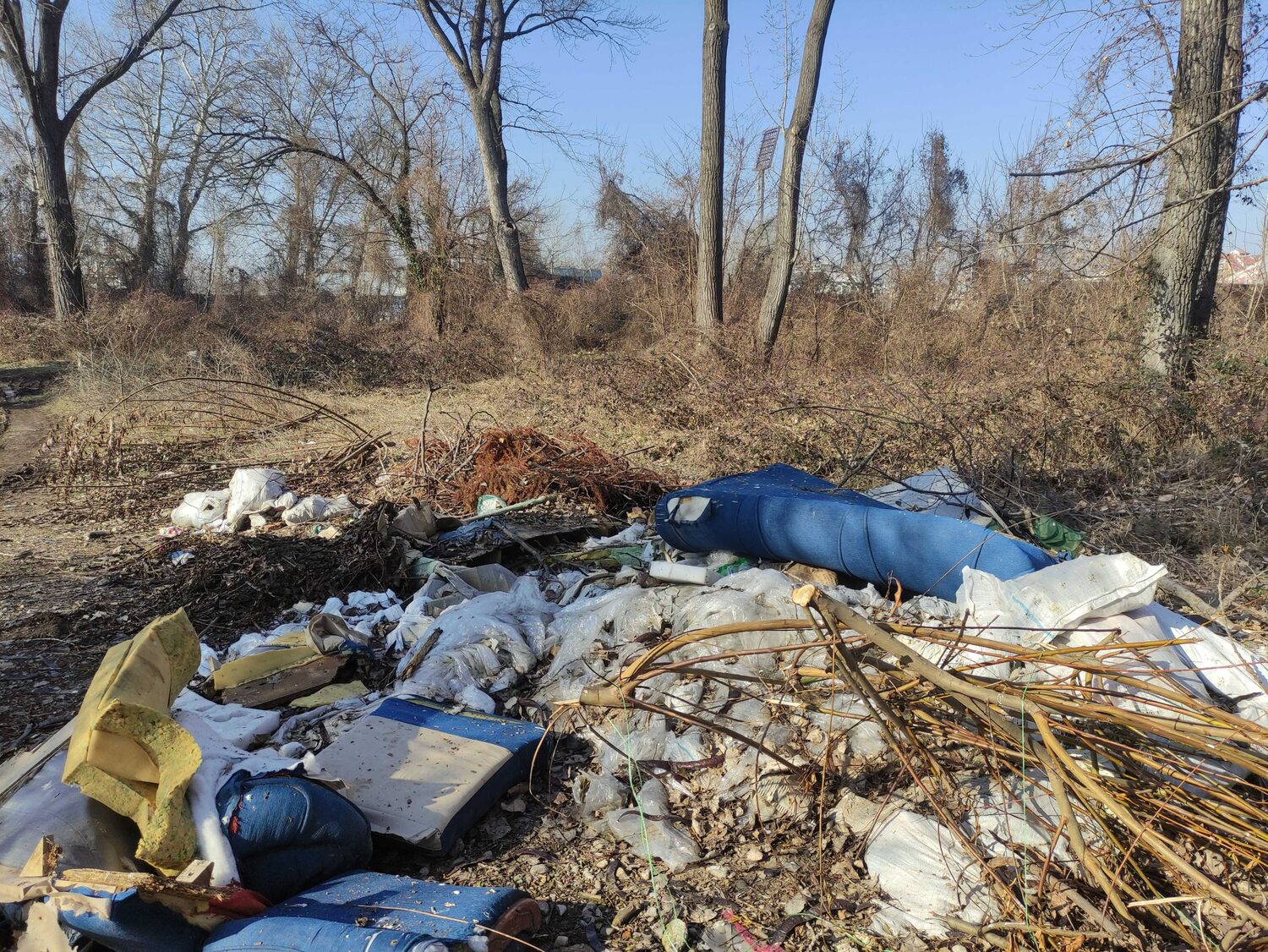 gimnasticki centar, foto ljubica jocic 10