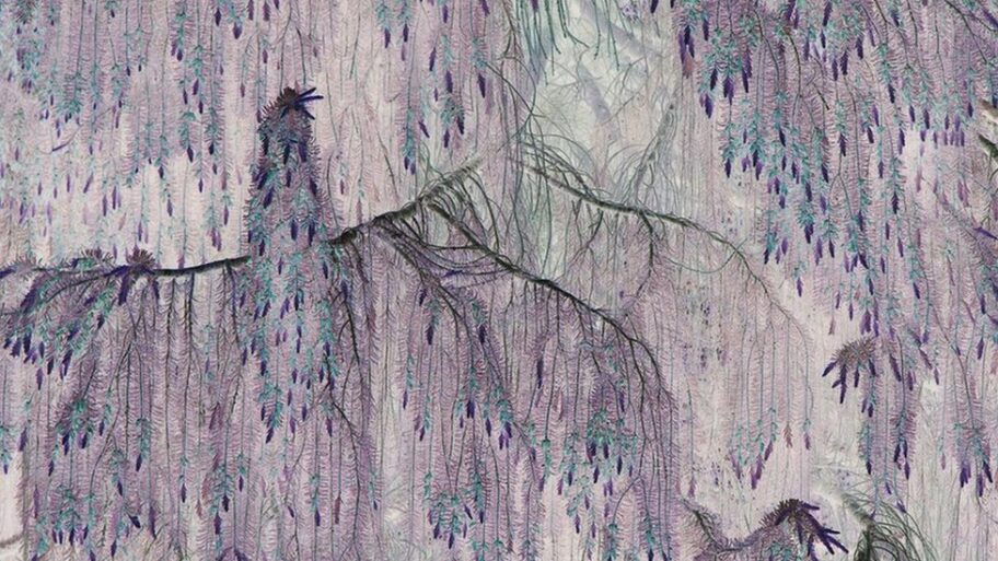 132492589 junesharpe 447312