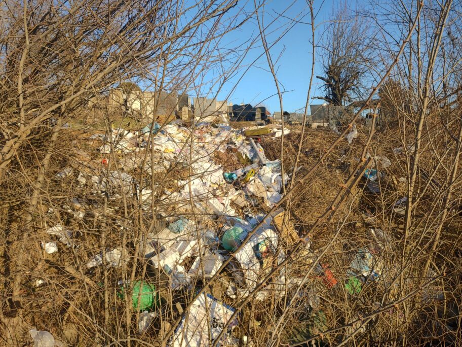 IMG 20240131 153934793 HDR