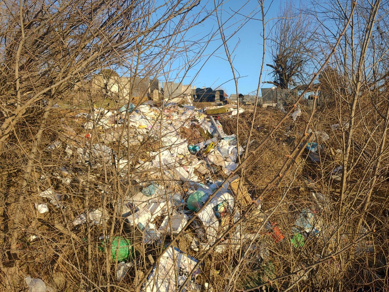 IMG 20240131 153934793 HDR