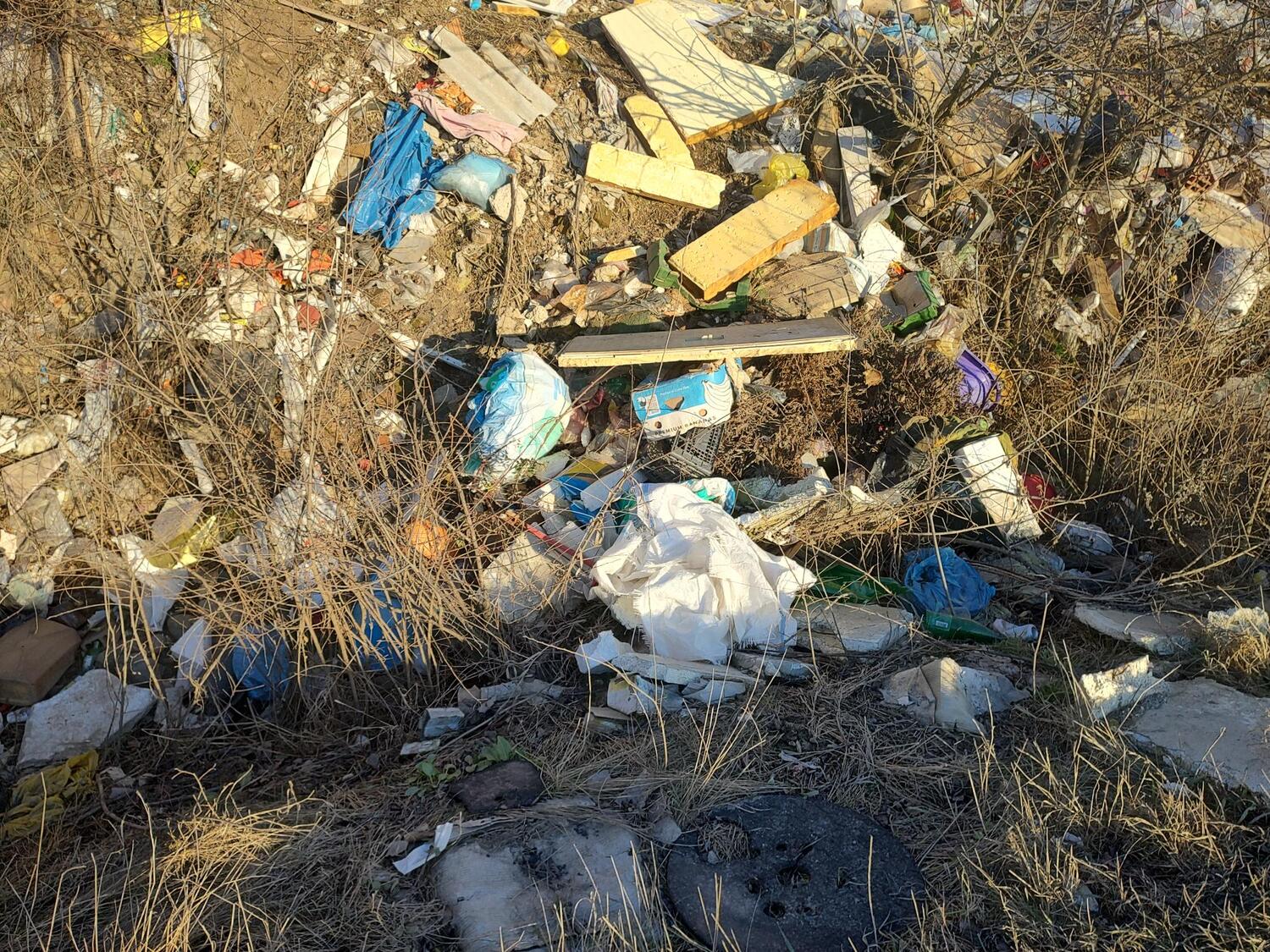 IMG_20240131_154025518_HDR