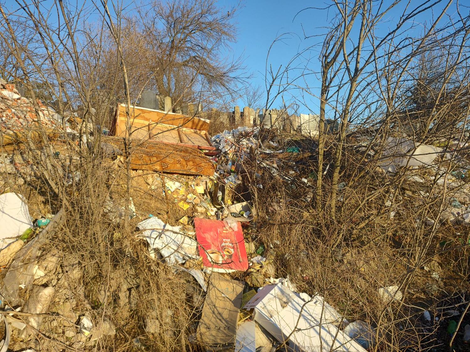 IMG_20240131_154051357_HDR