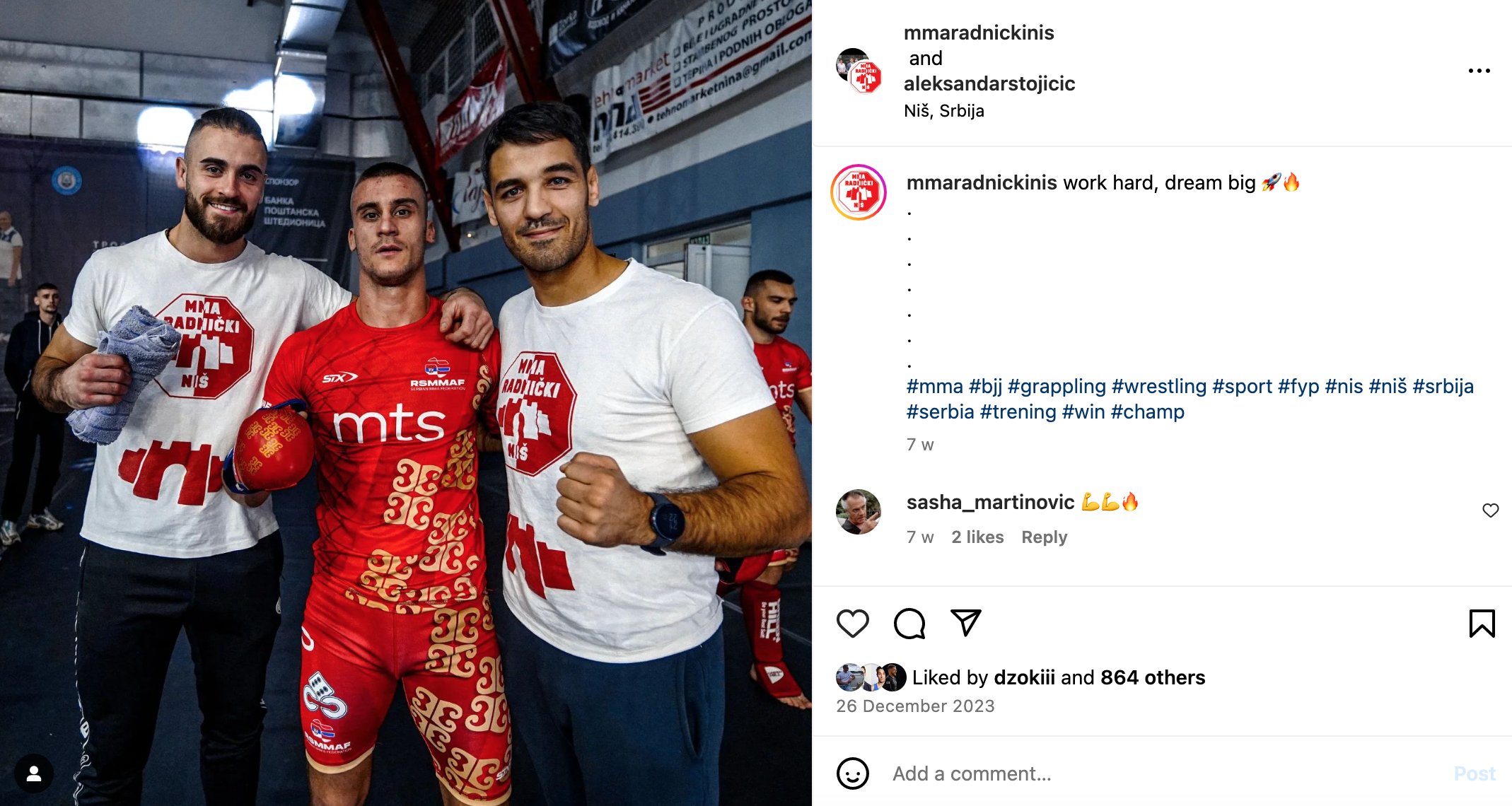 stojičić mma radnički