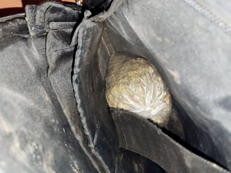 "Pao" diler u Nišu zbog manje od 200 grama marihuane 4 droga foto punis