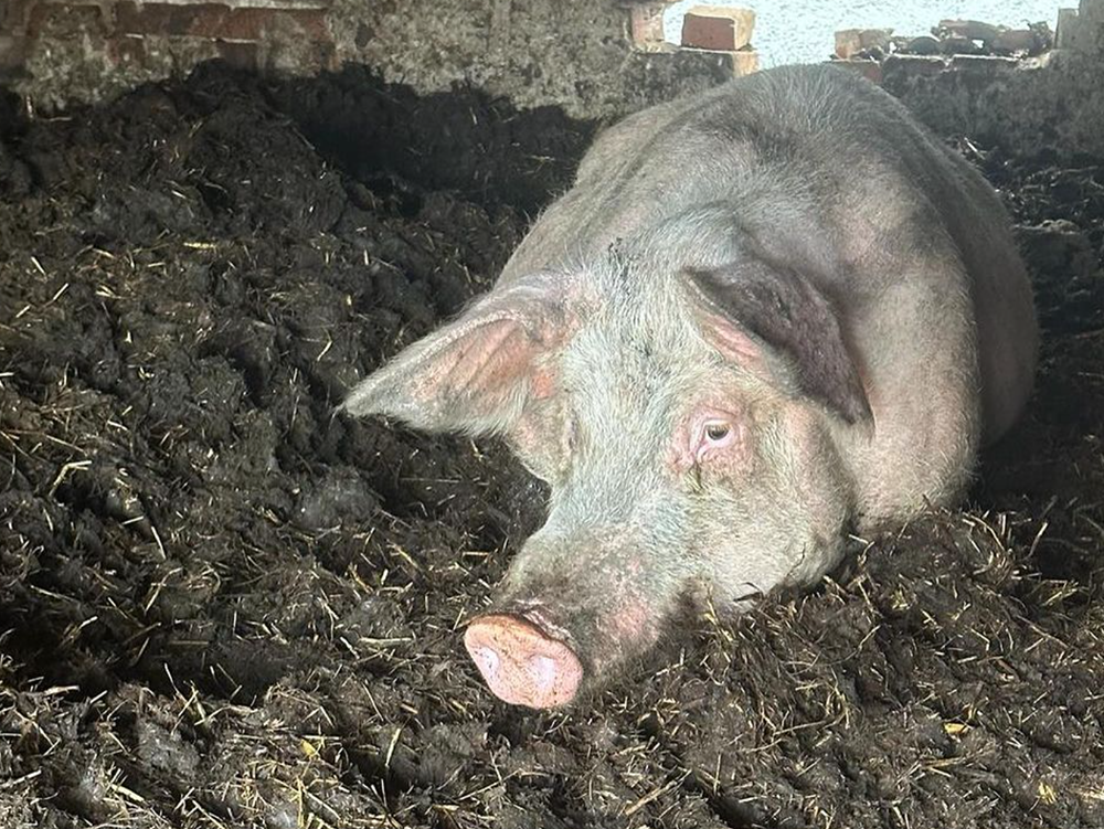 Screenshot 2024 02 21 at 14 19 05