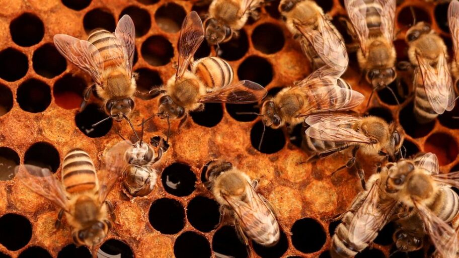 132590199 c05f53b64d62aad5940386a88bc0ad1f511add9d