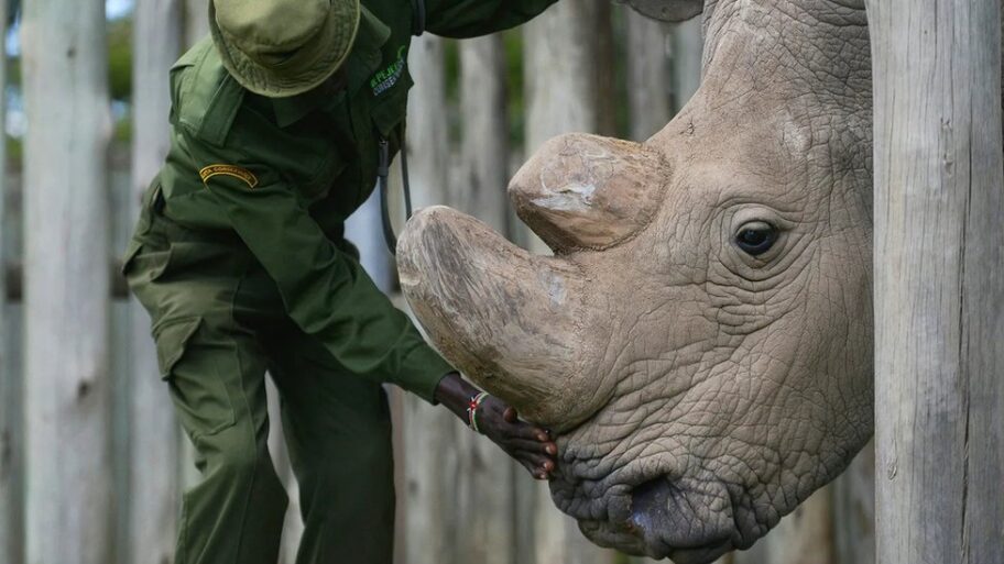 132709614 654d06dd 2d6e 4117 8ff0 755bfac98727