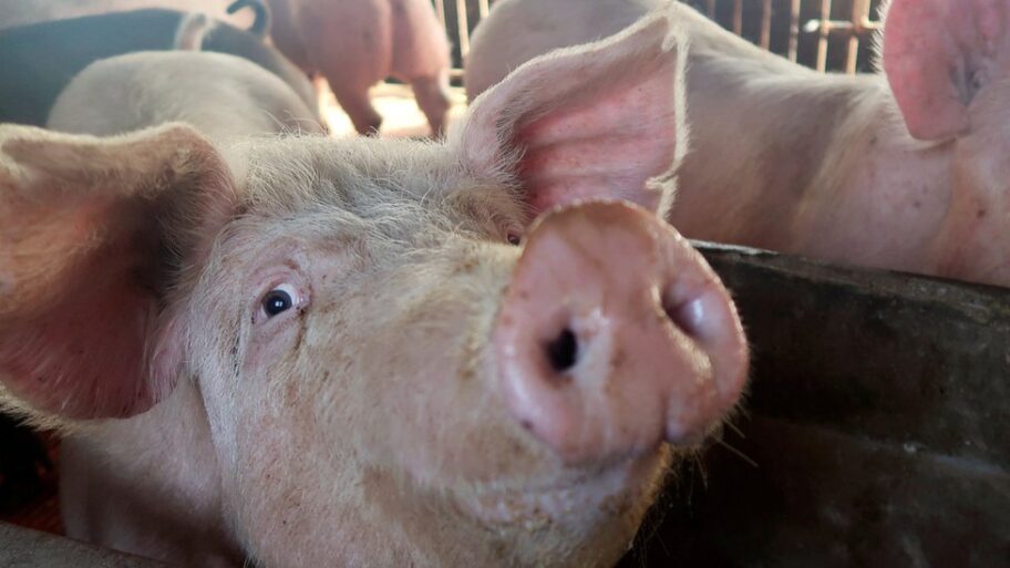 132955592 64f401cc168d23de48d2473f9b627c4793175f95 2