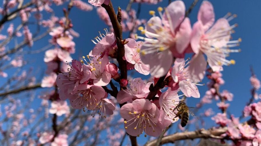 132870608 thumbnail 3