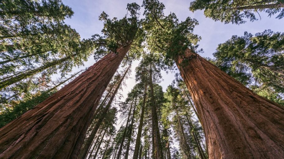 132980192 4d355236d545ea591d8339413f18d40cb24049a1