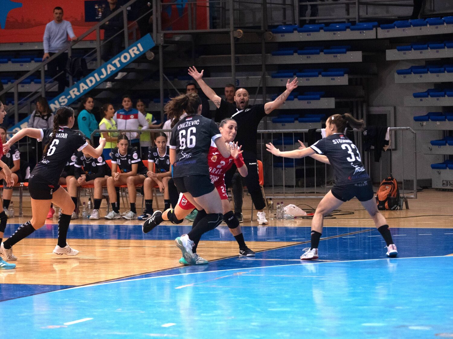 zrk naisa, foto jelena misic