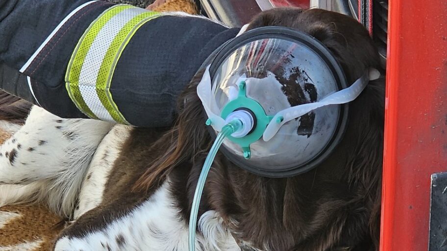 133007365 20240322 093224