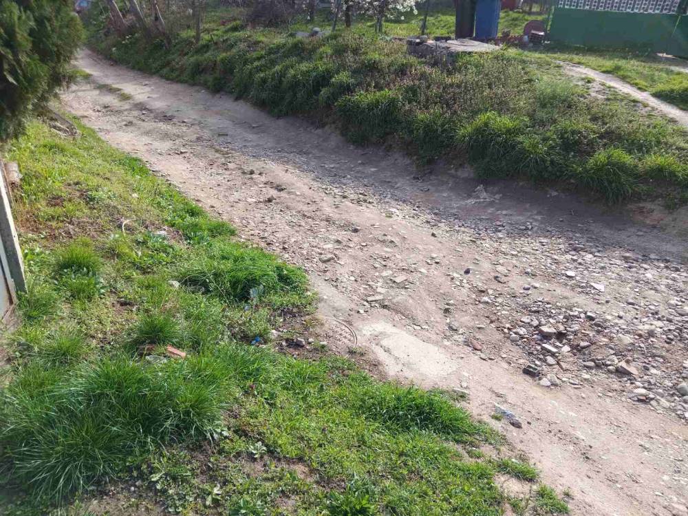 Stevana Nikšića Lale (1)