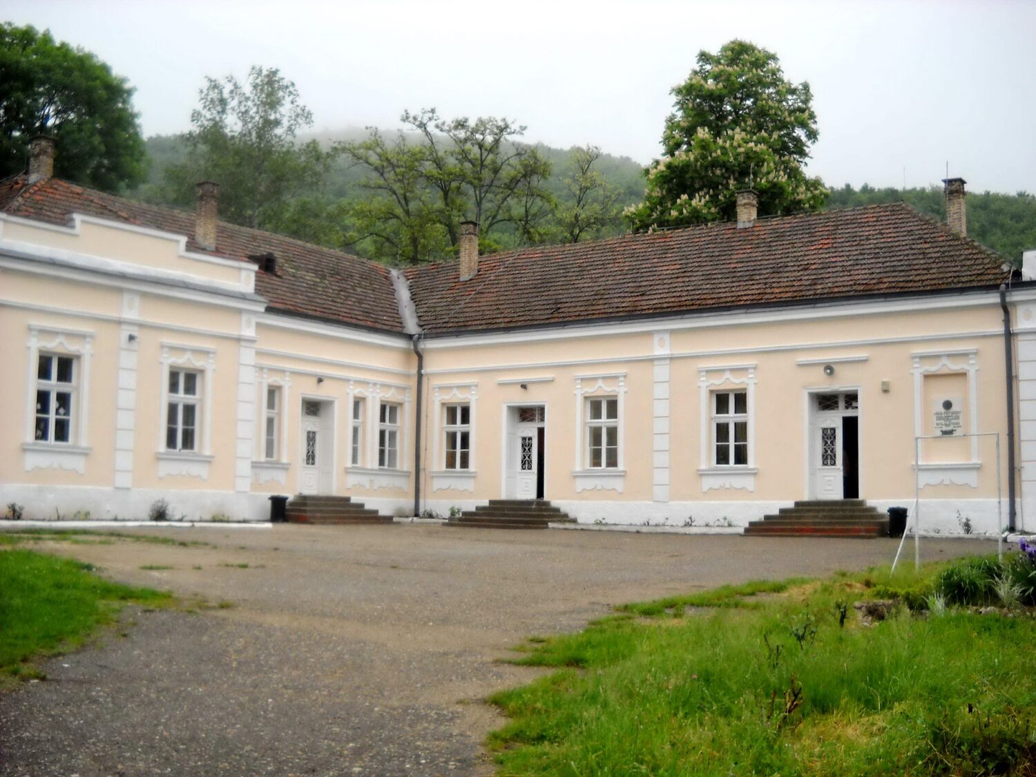 Prvak u školi u niškom selu Miljkovac udario učiteljicu u nogu 1 os lela miljkovac