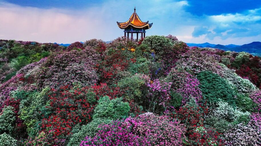 133077849 gettyimages 2134349973