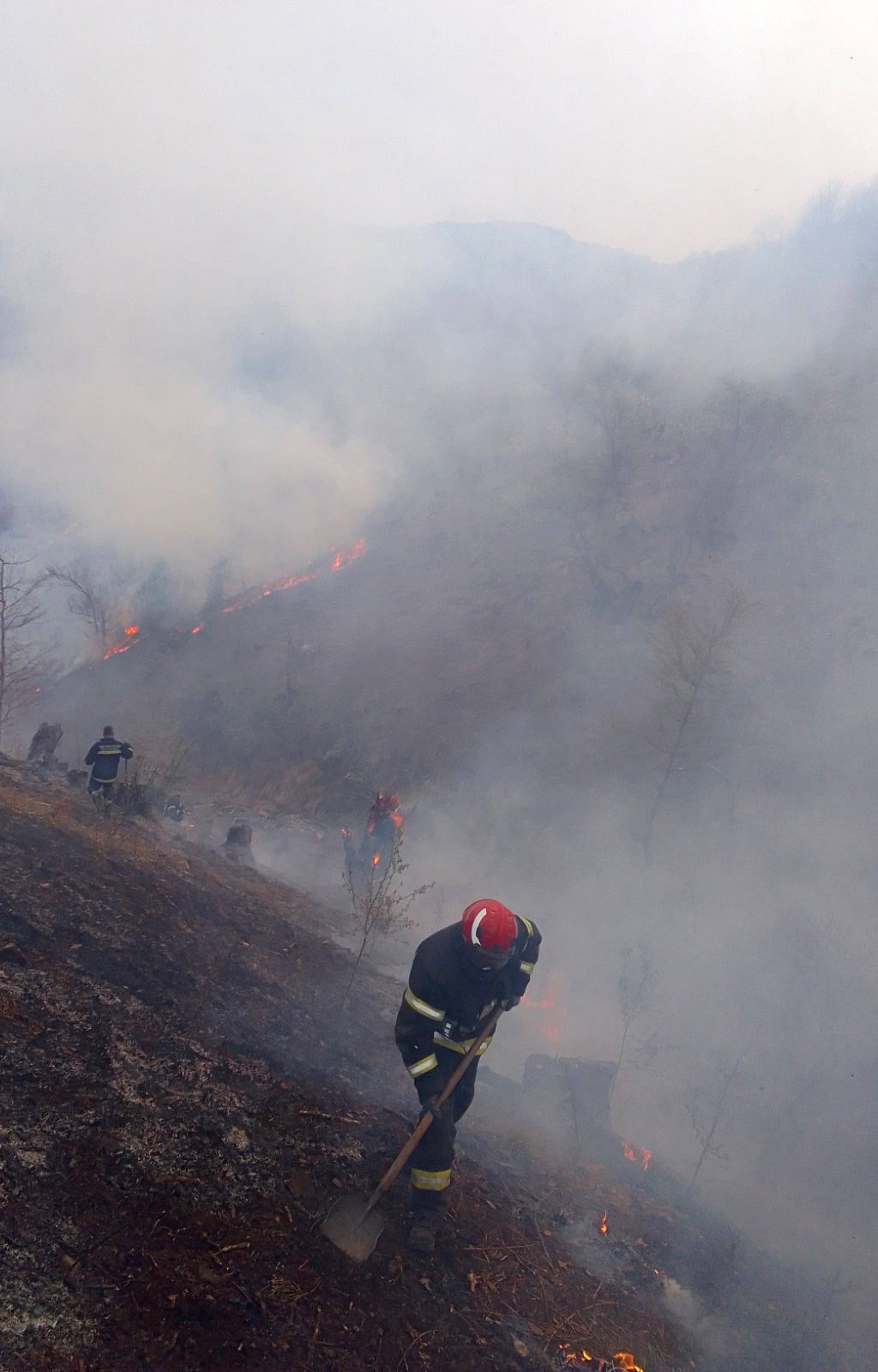 pozarnaotvorenom-foto-mup