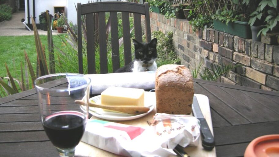 133167276 ca2e7a5f6b0b45ec60fba10c3f05983486db02cf