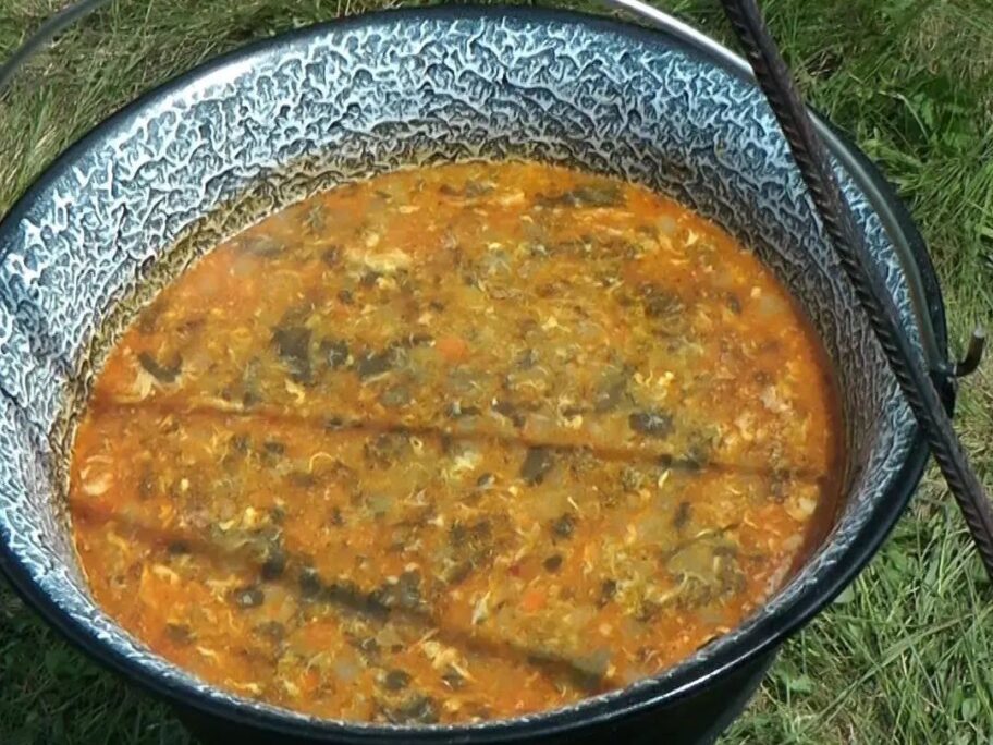 U Babušnici organizuju takmičenje u pripremi celovara - čorbe od livadskog zelja 4 celovar foto fbturistickaorganizacijababusnica