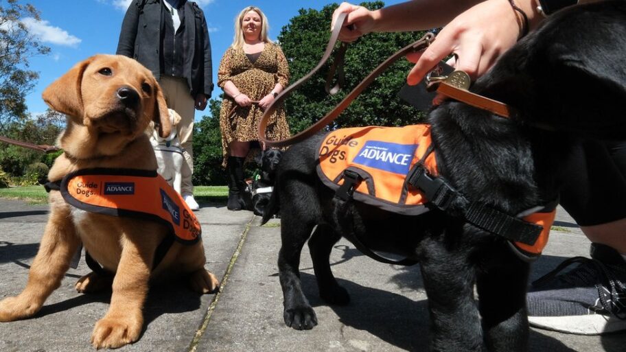 133220332 9e89cea1c94f7525134e32bb2f69a7a0d690b402