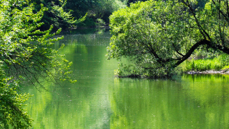 133243446 2 fb pioklisurarekeetinje fotodanijelazunic