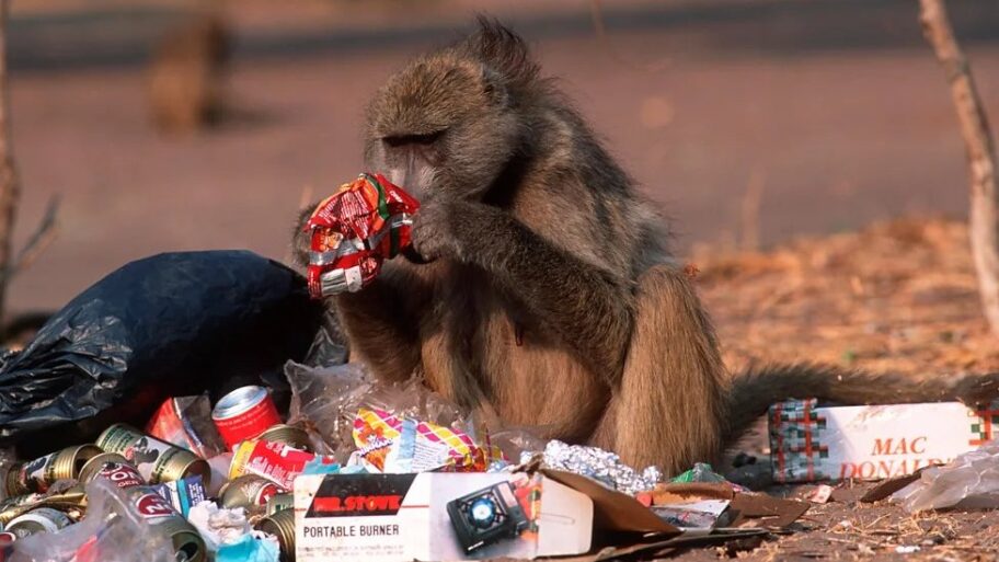 133285590 mediaitem133285589