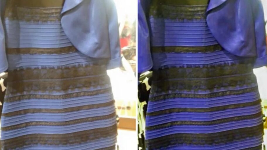 133295653 08a7cbc4 d2f4 4e40 a565 90ed33d26a5a