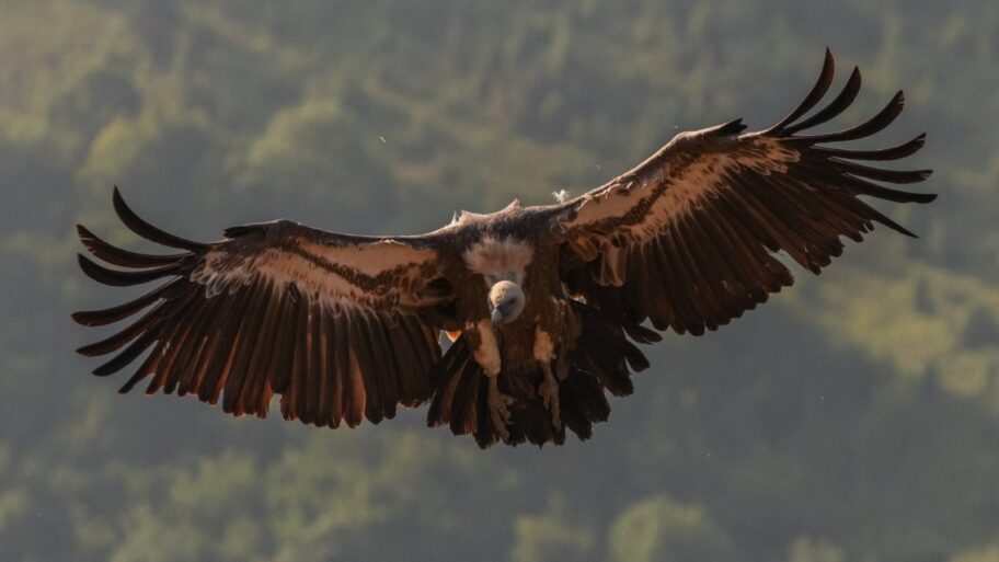 133332694 77e1a2da e6ab 4399 97bf 87a462cce639