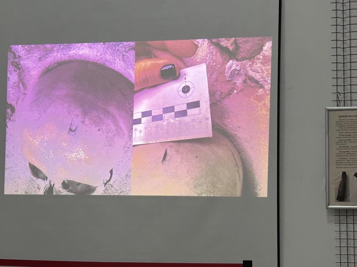 441257620_1249892725975180_4654232307617923864_n