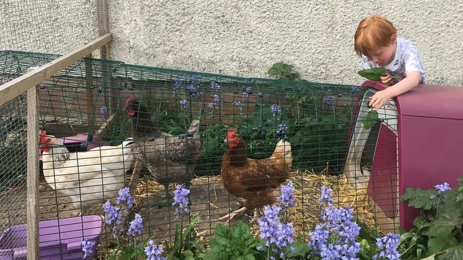 133008381 35f6db66 5af0 4ca0 aa16 b407b2084d24