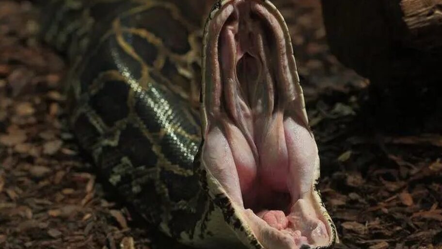 133369783 436a0707 cb08 479e 9165 e17b23858e04