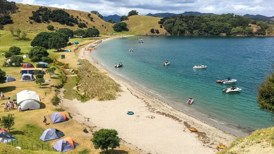 132979996 p0hgyslz jpg