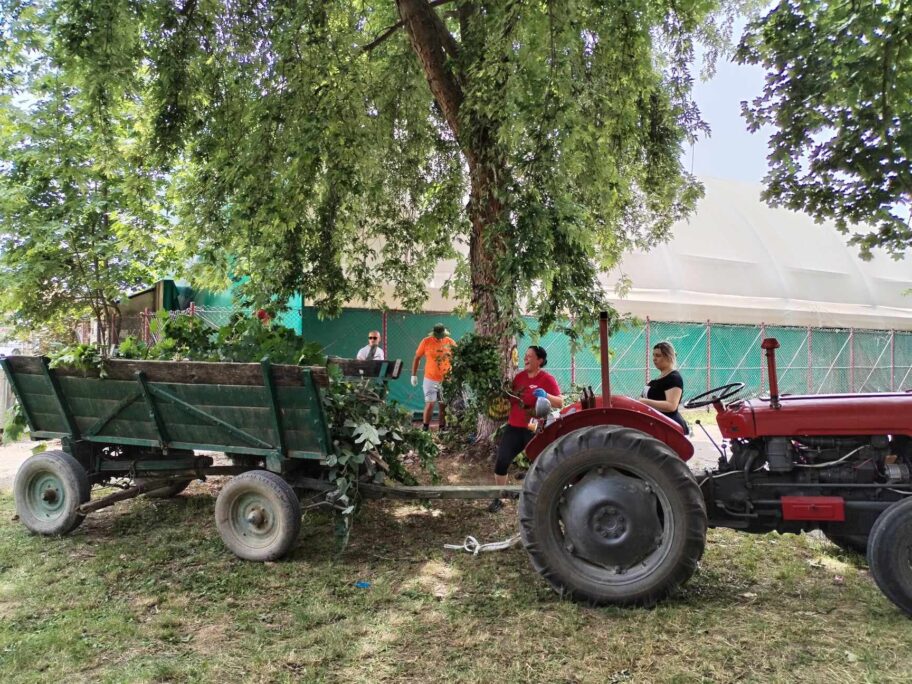 Meštani niškog sela Čokot se udružili da ulepšaju i srede dvorište škole 18 oscokot foto mz