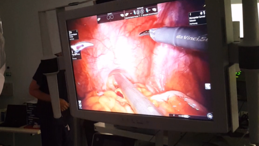 133374633 mediaitem133374631