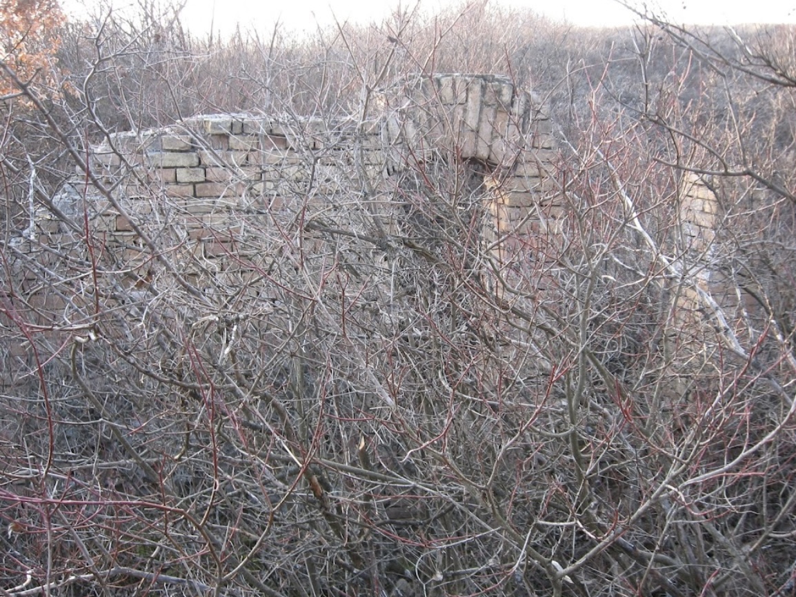 446079645 498660495950009 3022582237730020720 n