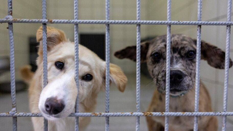 133454557 afd78d6d4de4ce4a6500db22983e63b8d5b1e4c6