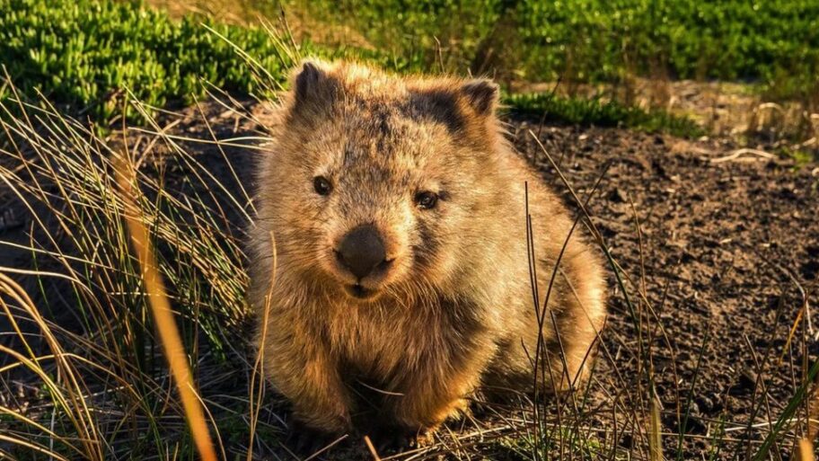 133459870 c0107fb1 4987 45bb 8938 a88cc72fded2