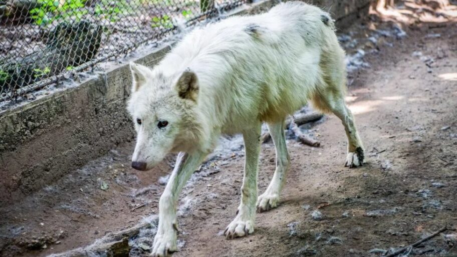 133464338 290484d8 ad65 41ec b2e2 6b07e290fc21