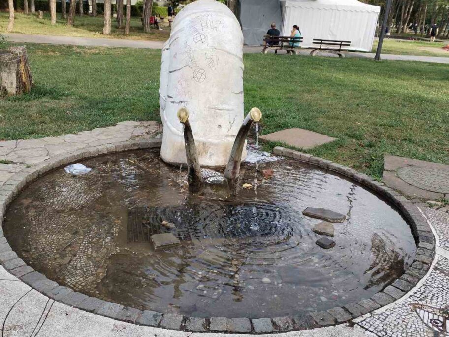 puz cesma foto citalac