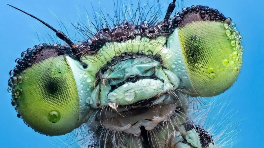 133466919 c3f5c841 66e8 4734 ac74 0a43b7b166c6