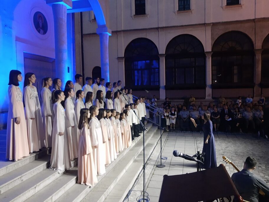 vidovdanska akademija