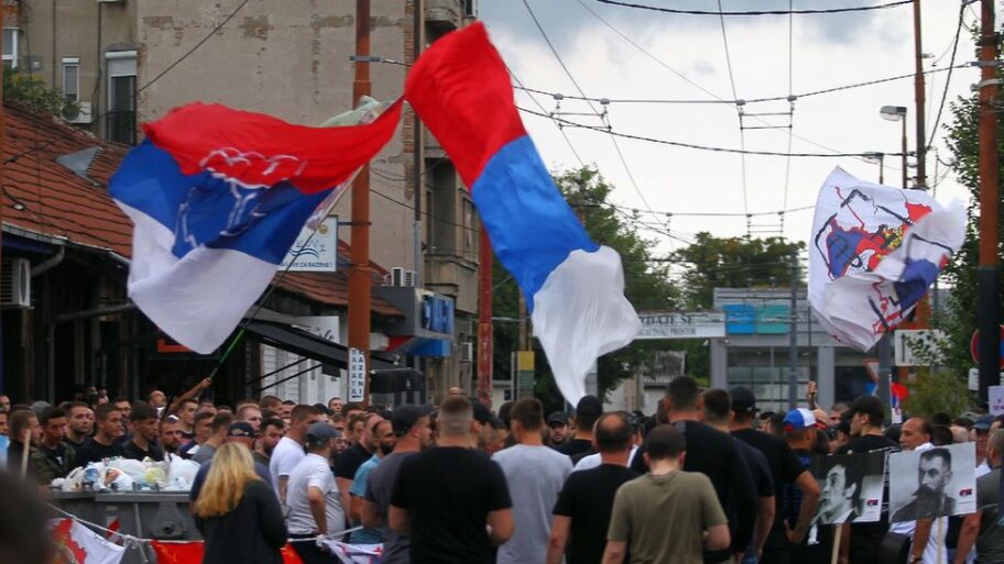 133471431 delije004 b