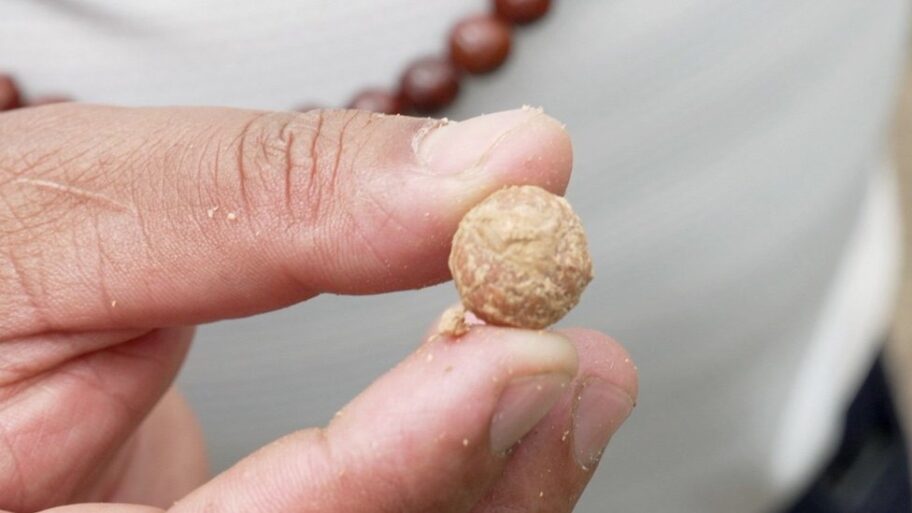 133471753 f2cc552f 44ac 4f75 8938 a5c2be1ef8c3