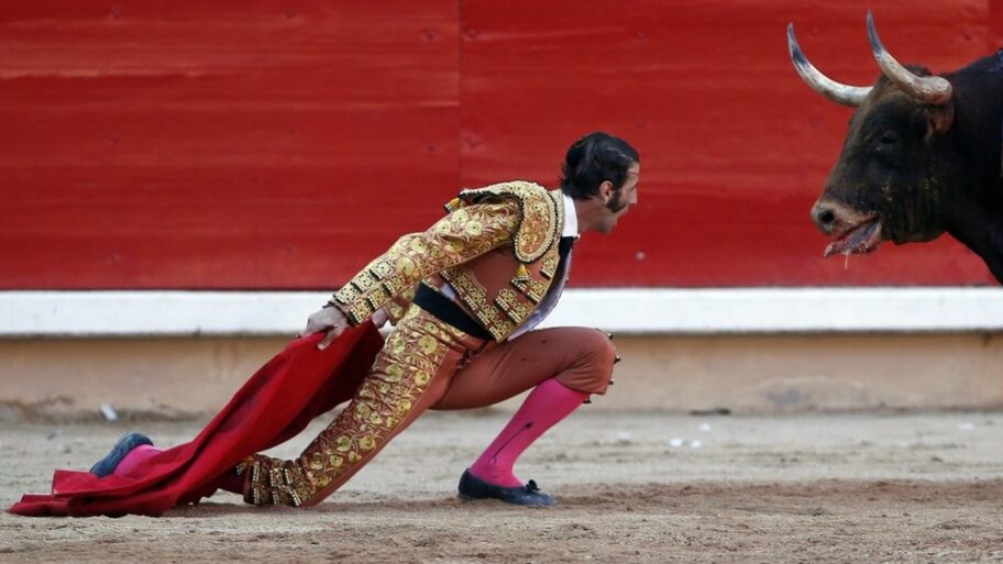 Borbe s bikovima: Dečak protiv tradicije u španskom gradu poznatom po koridi 13 133478020 26bd706cca24980a487ecd8a2eeb72a323fe0fef