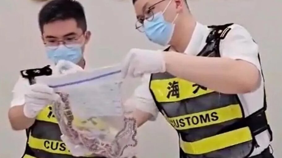 Kina i kriminal: Šta imate da prijavite? Ništa, samo 104 zmije u pantalonama 19 133489110 004a5c24 e115 45e7 a17b f0550e8932eb