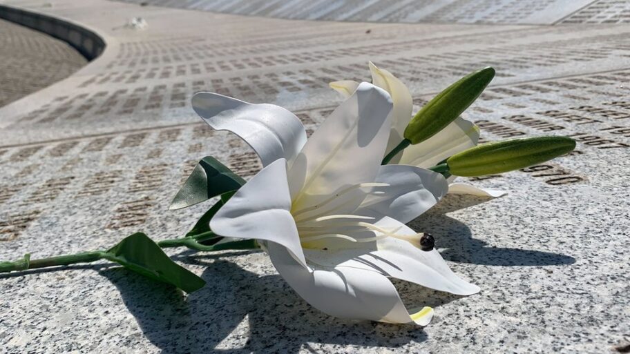 Srebrenica: Dženaza, preživeli i mučna sećanja 10 133490231 img 6063