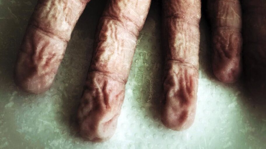 133463805 d8974838 6848 4b93 ad3a c377c26cf183